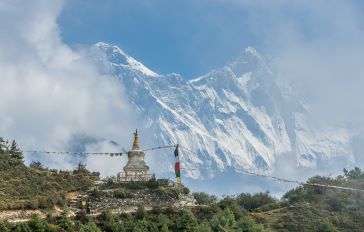 Teas of Nepal
